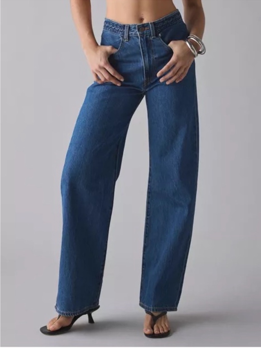 NWT Levi’s Ribcage Wide Leg Jean-Braided Waist